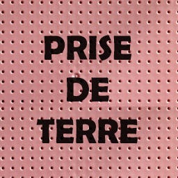 Prise De Terre