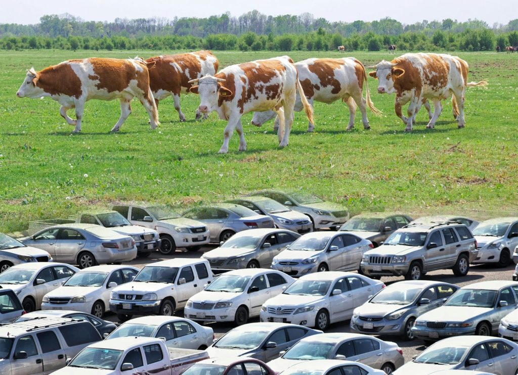 accord mercosur